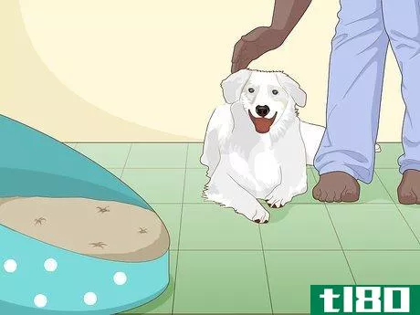 Image titled Create a Private Space for Your Dog Step 10