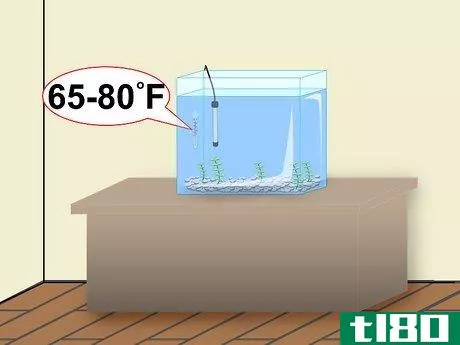 Image titled Clean a Betta Fish Tank Step 10