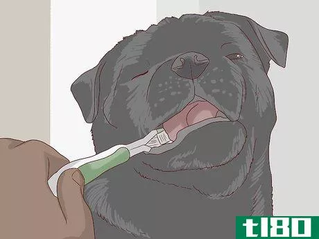 Image titled Check for Signs of Dental Disease in Dogs Step 10