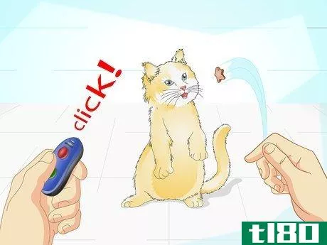 Image titled Clicker Train a Cat Step 9