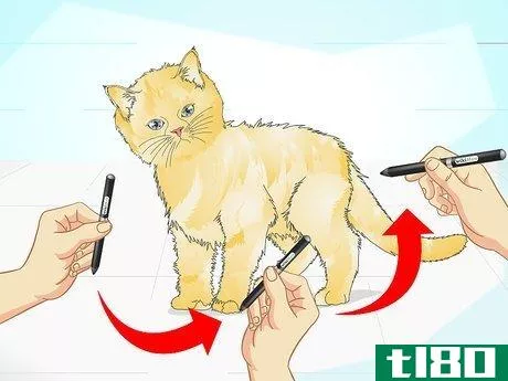 Image titled Clicker Train a Cat Step 15