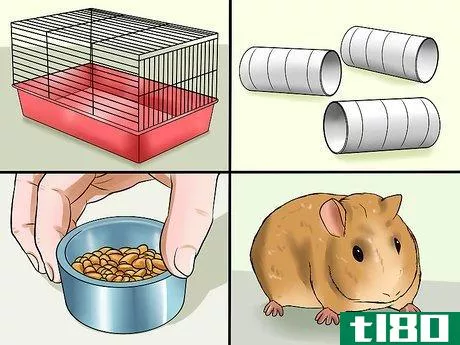 Image titled Convince Your Parents to Buy You a Guinea Pig Step 7