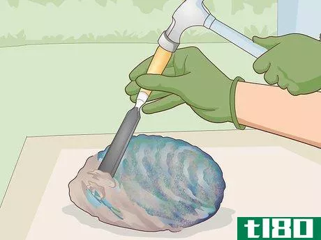 Image titled Clean Paua Shells Step 10