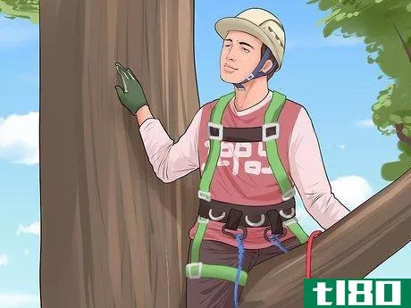 Image titled Climb a Tree Step 23