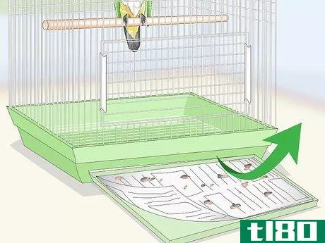 Image titled Clean a Caique Parrot Cage Step 1