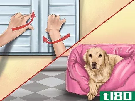 Image titled Comfort Your Dog Step 2