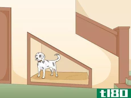 如何为你的狗创造一个私人空间(create a private space for your dog)