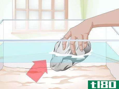 Image titled Clean a Turtle Tank Step 3