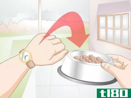 Image titled Create a Feeding Routine for Your Dog Step 2