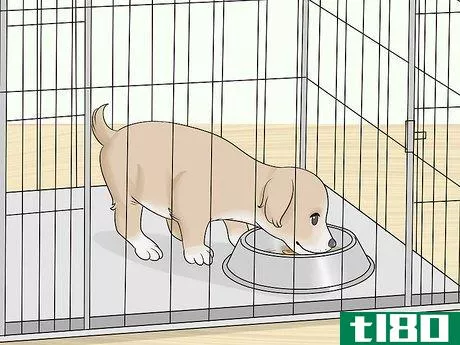 Image titled Crate Train a Puppy During the Day Step 19
