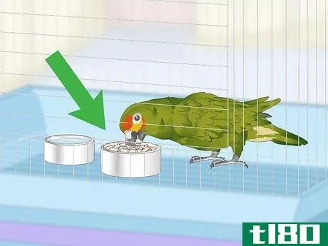 Image titled Deal with an Aggressive Amazon Parrot Step 1