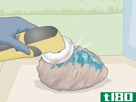 Image titled Clean Paua Shells Step 15