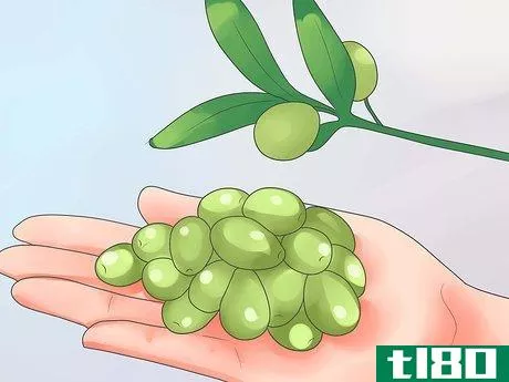 Image titled Cure Olives Step 10