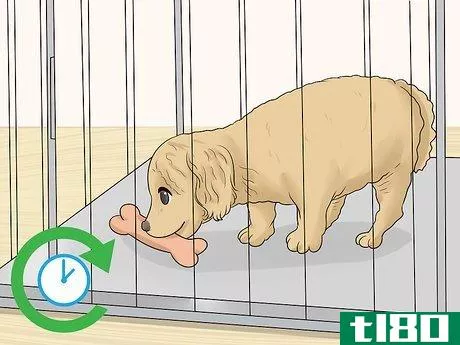 Image titled Crate Train a Puppy During the Day Step 20