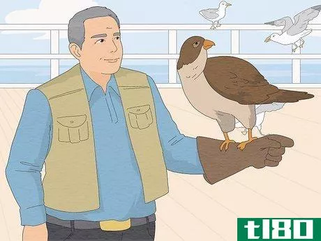 Image titled Deal with Aggressive Seagulls Step 14