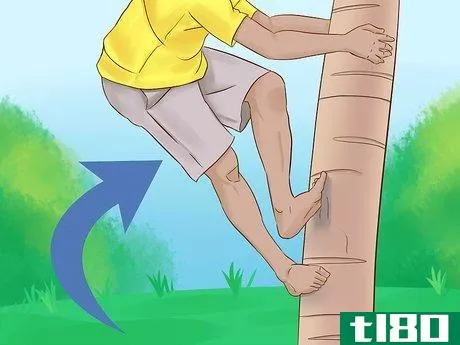 Image titled Climb a Tree With No Branches Step 5
