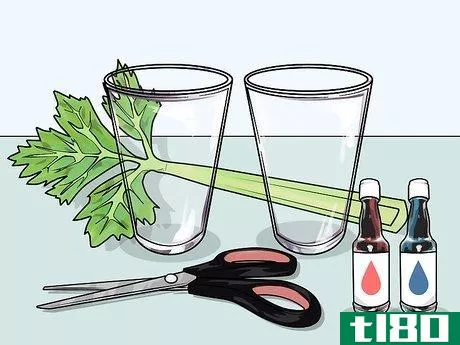 Image titled Change the Color of a Celery Stalk Step 7