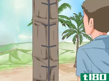 Image titled Climb a Coconut Tree Step 14