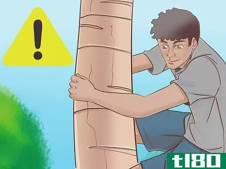 Image titled Climb a Tree With No Branches Step 16
