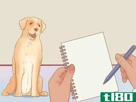 Image titled Choose a Dog Step 16