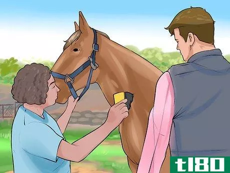 Image titled Clean the Sheath of a Horse Step 6