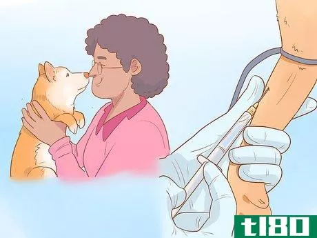 Image titled Cure a Dog's Bad Breath Step 12