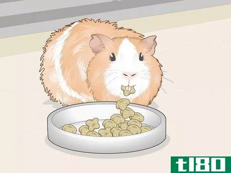 Image titled Change a Guinea Pig's Diet Step 14