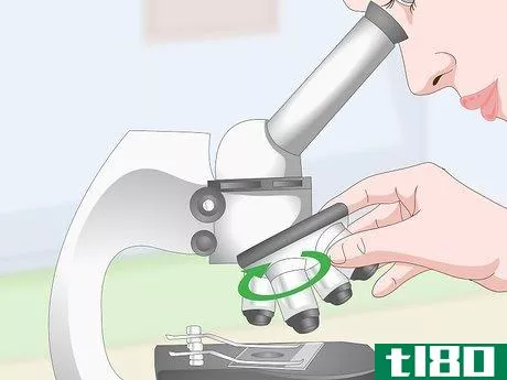 Image titled Clean Microscope Lenses Step 13