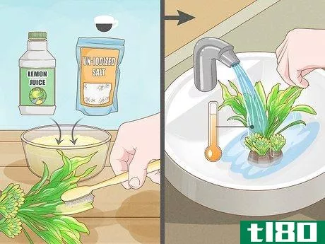 Image titled Clean Fake Plants Step 13