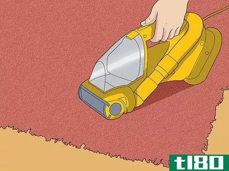 Image titled Clean Shag Carpet Step 7