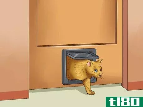 如何为你的猫创造一个房间(create a room for your cat)