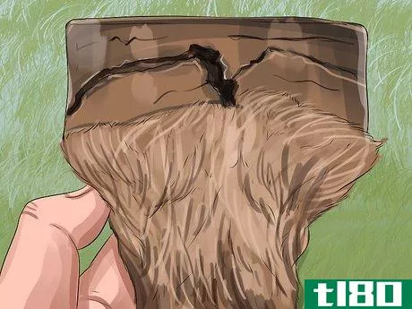 Image titled Clean a Horse's Hoof Step 12