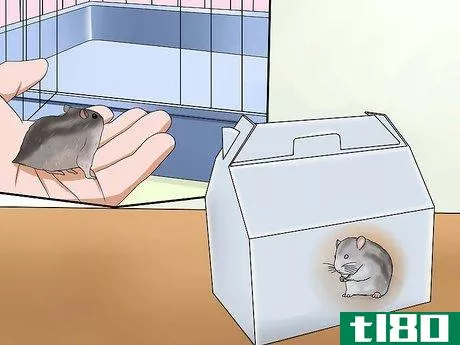 Image titled Choose a Hamster Step 10