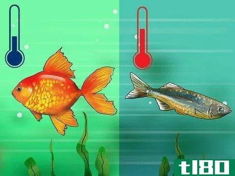Image titled Choose Fish for a Freshwater Aquarium Step 4