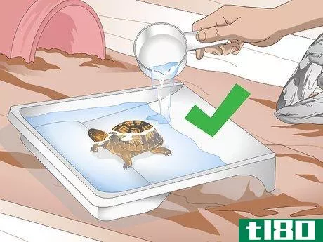 Image titled Create an Indoor Box Turtle Habitat Step 16