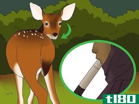 Image titled Deer Grunt Step 8