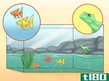 Image titled Create Aquariums So Lizards and Fish Can Coexist Step 8