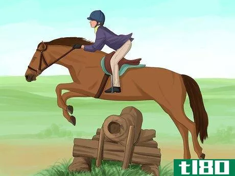 Image titled Build a Better Bond with Your Horse Step 7