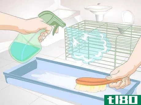 Image titled Clean a Long Haired Hamster Step 10