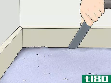 Image titled Clean Carpet Edges Step 7