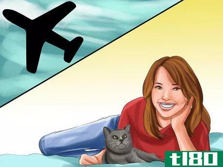 Image titled Choose a Cat‐Friendly Vacation Destination Step 2