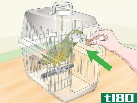 Image titled Deal with a Fearful or Stressed Senegal Parrot Step 17