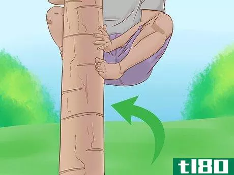 Image titled Climb a Tree With No Branches Step 12