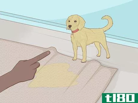 Image titled Clean Pet Vomit from Carpet Step 15