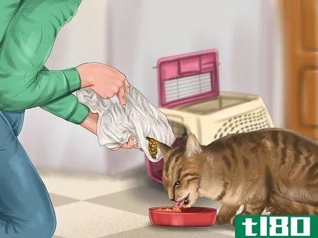 Image titled Choose the Right Place to Feed Your Cat Step 2