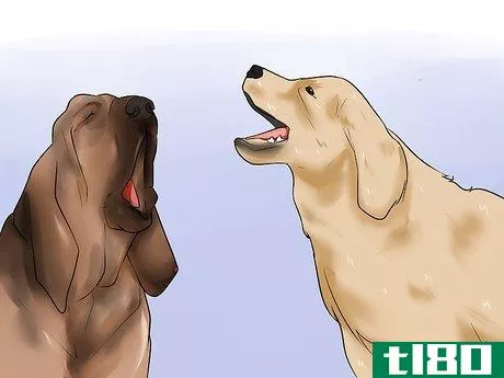 Image titled Choose the Right Dog Breed to Protect Your Home Step 13