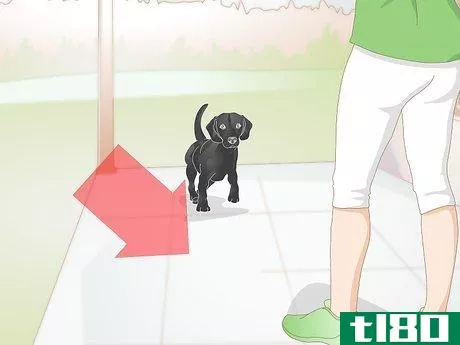 Image titled Create a Feeding Routine for Your Dog Step 1
