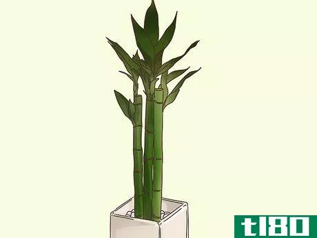 Image titled Choose Plants for Good Feng Shui Step 3