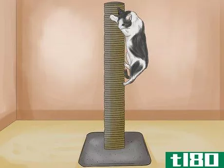 Image titled Choose a Scratching Post or Pad for Your Cat Step 12