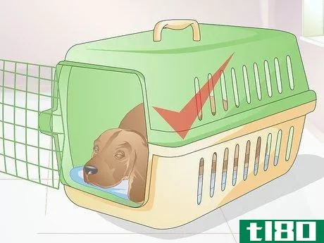 Image titled Choose a Place for Your Dog to Sleep Step 2